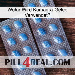 Wofür Wird Kamagra-Gelee Verwendetg viagra4